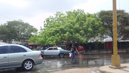 2 b charco del centro